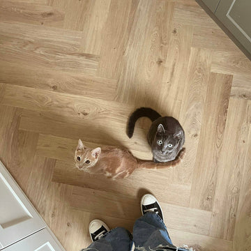 Beste vloer voor huisdieren: slijtvast en praktisch - Solza.nl