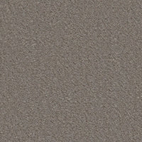 Ambiant Lodi warmgrijs 0102 tapijt - Solza.nl