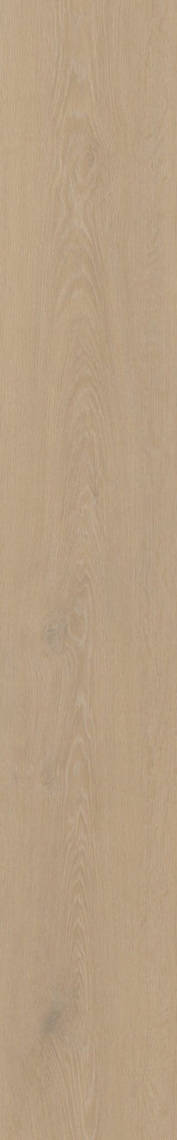 Belakos Cervo 200 Dryback PVC - Solza.nl