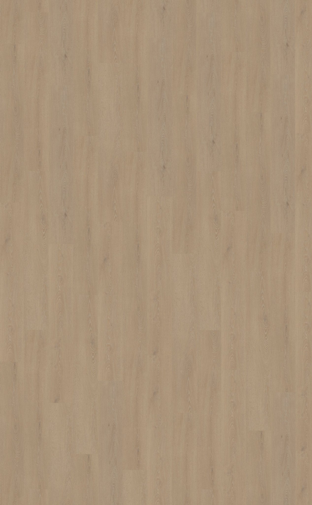 Belakos Cervo 210 Dryback PVC - Solza.nl