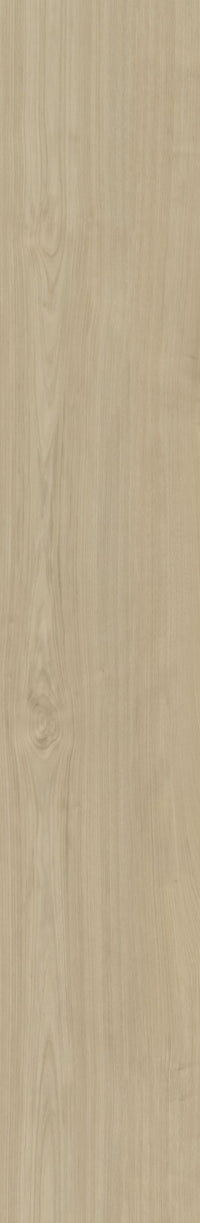 Belakos Portico 570 Rigid Click PVC - Solza.nl