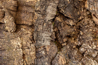 Floer Acoustic Cork Wall Panels Bark Untreated 90x60cm FLR-9040