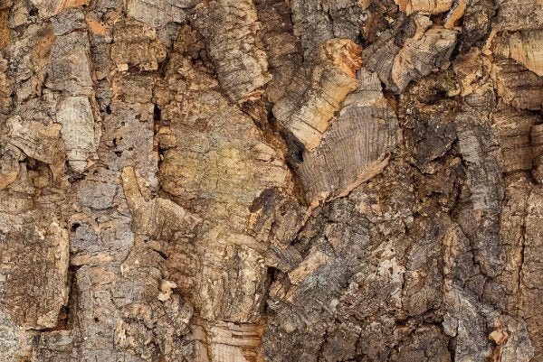 Floer Acoustic Cork Wall Panels Bark Untreated 90x60cm FLR-9040
