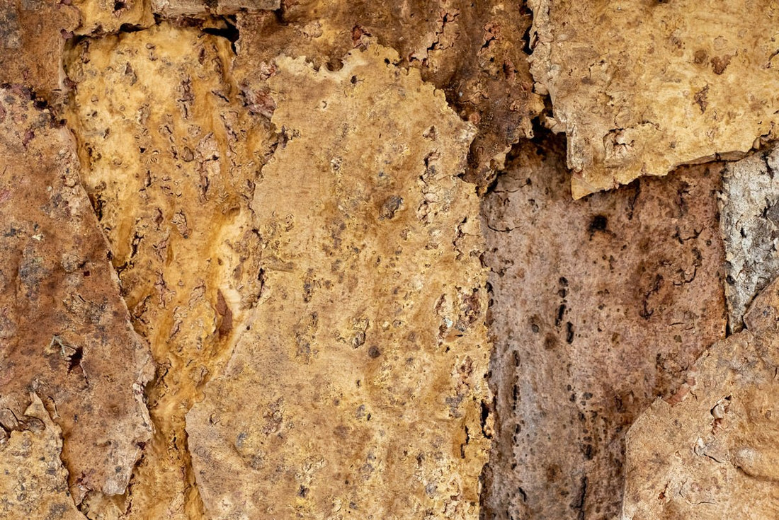 Floer Accucork Wall Panels Sandstone Nature 90x60cm FLR-9042