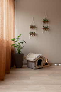 Floorify Lange Plank Click PVC Latte F034 - Solza.nl