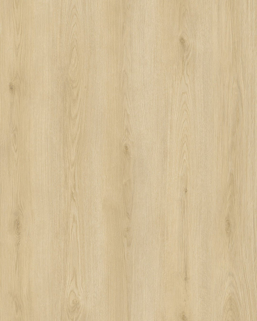 Hoomline City 50 Apeldoorn 6045 - Plak PVC - A10207 - Solza.nl