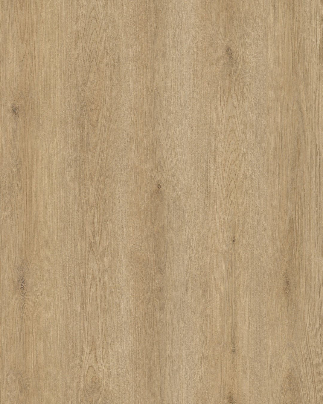 Hoomline City 50 Arnhem 6001 - Plak PVC - A10208 - Solza.nl