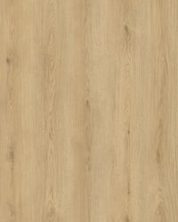 Hoomline City 50 Zwolle 6008 - Plak PVC - A10206 - Solza.nl