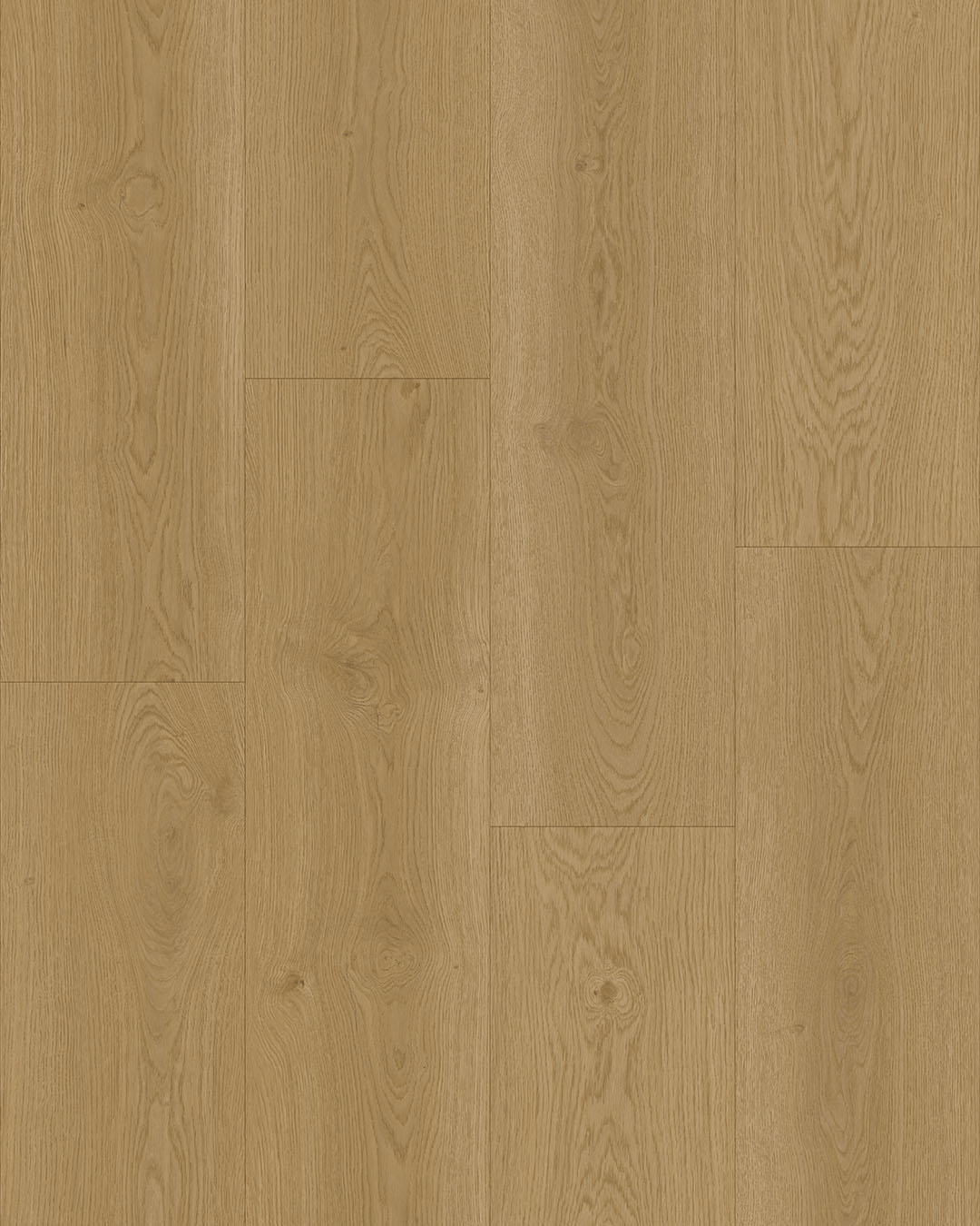 Hoomline Elegance 55 Kraanvogel 51315 - Plak PVC - A10137 - Solza.nl