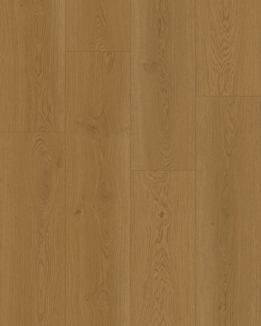 Hoomline Elegance 55 Lepelaar 51317 - Plak PVC - A10136 - Solza.nl
