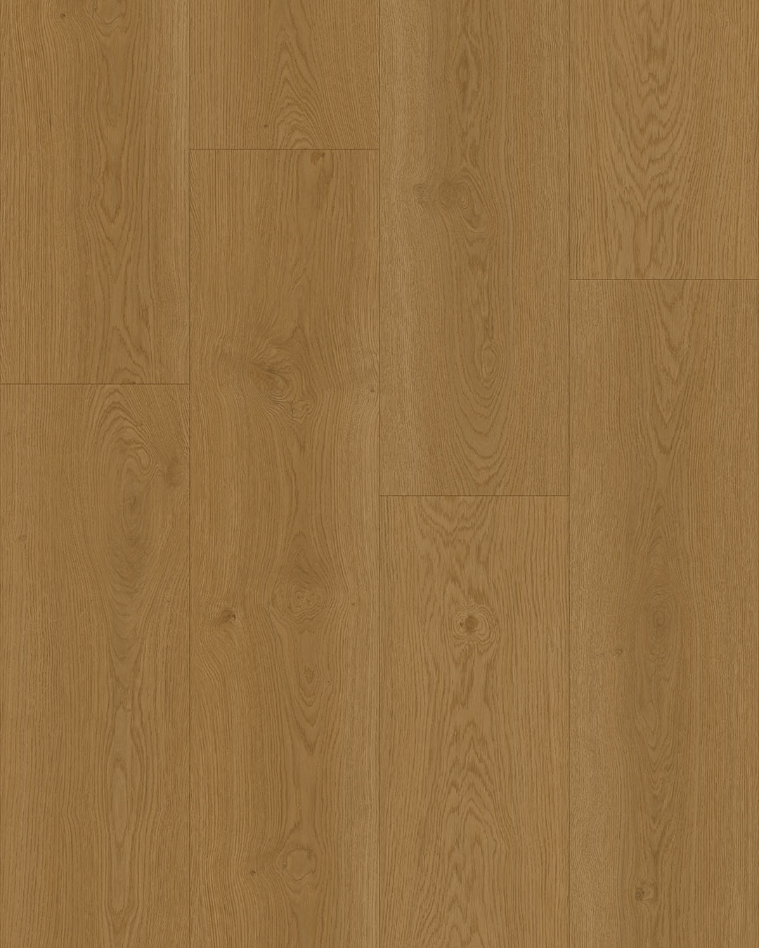 Hoomline Elegance 55 Lepelaar 51317 - Plak PVC - A10136 - Solza.nl
