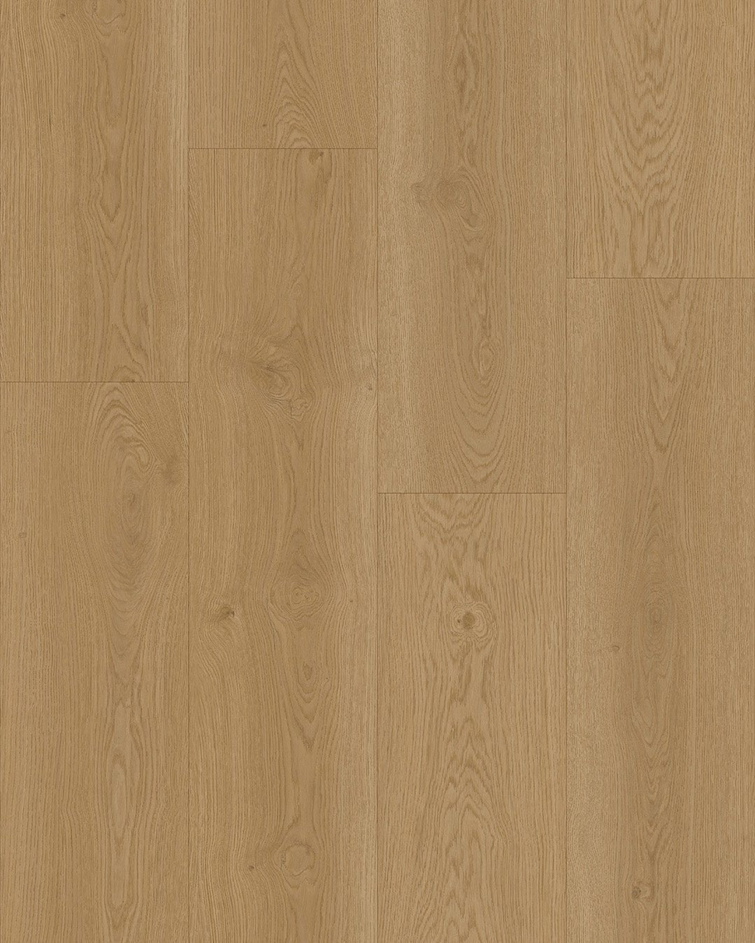 Hoomline Elegance 55 Ooievaar 51316 - Plak PVC - A10138 - Solza.nl