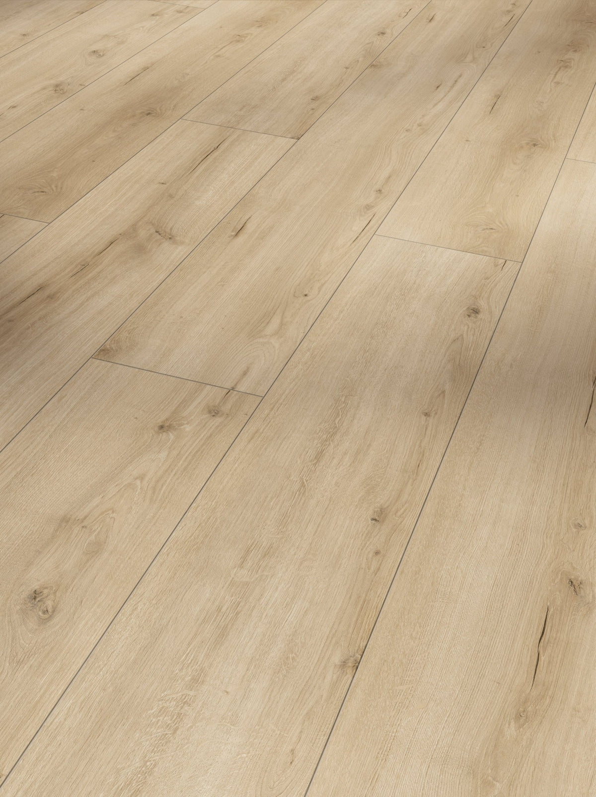 Hoomline Terra XL V4 Aquaprotect Kalk 2309 - Laminaat - 16603 - Solza.nl