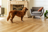 ParquetVinyl Yukon Mistral - Visgraat Click PVC - 123 x 615 mm - YUK-HB-2631-IB - Solza.nl