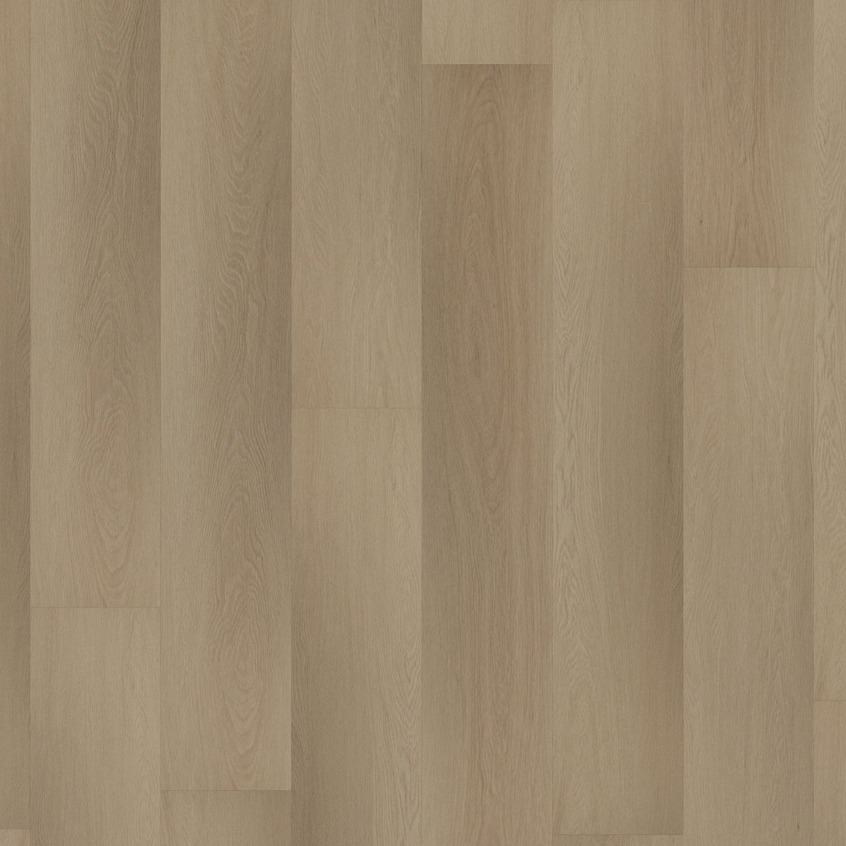 ROOM5 Charming Suite Rechte Stroken Plak PVC 555 - 100108 - Solza.nl