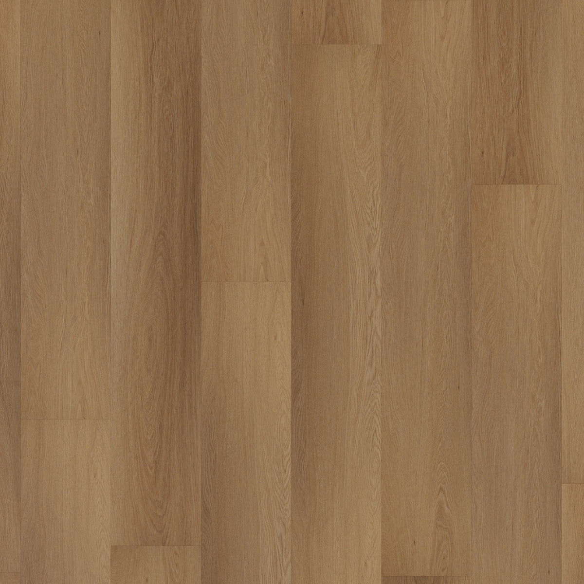 ROOM5 Western Hemlock Rechte Stroken Plak PVC 555 - 00106 - Solza.nl