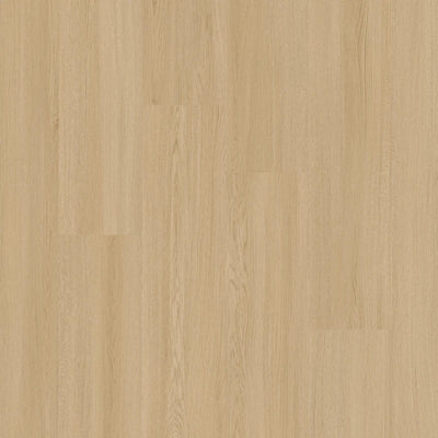 Therdex 15131 Select - Dryback PVC - Rechte Stroken - Solza.nl