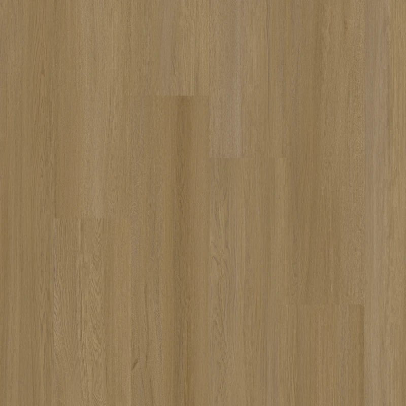 Therdex 15133 Select - Dryback PVC - Rechte Stroken - Solza.nl