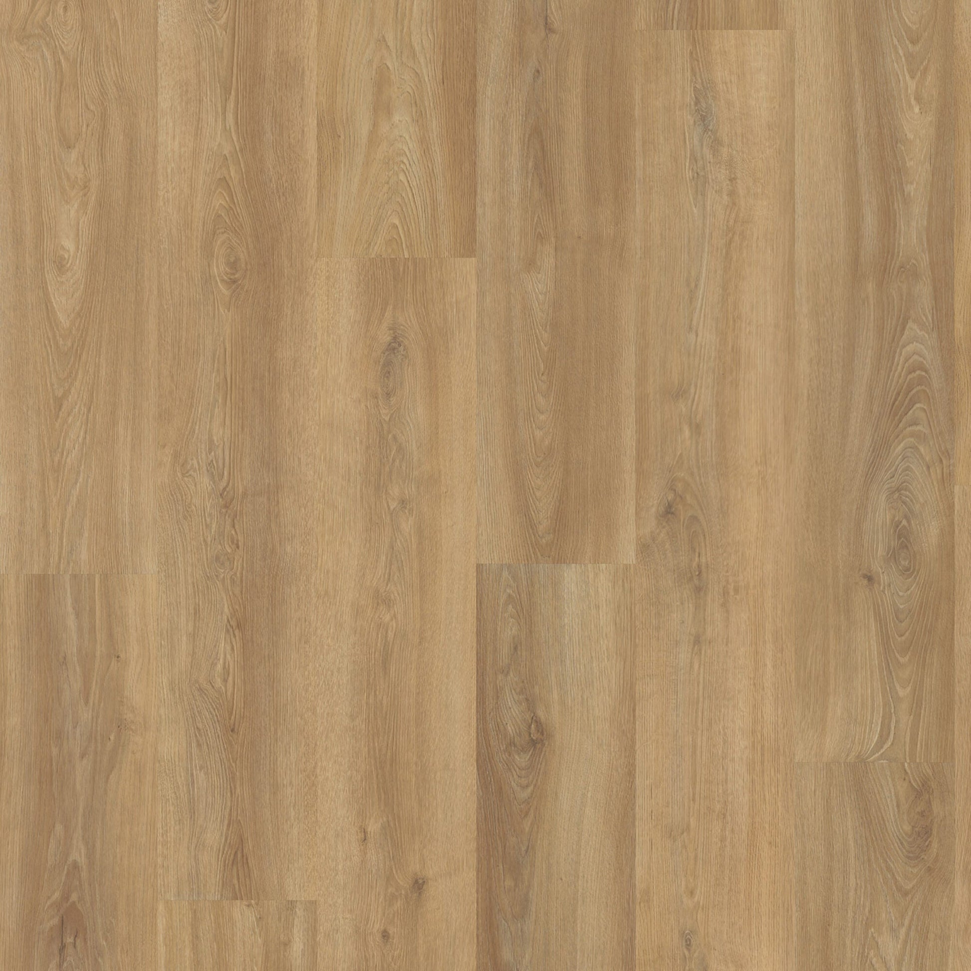 Vivafloors Oak 3530 Glue Down PVC